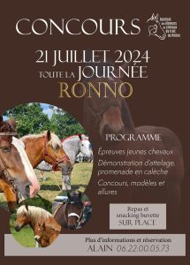 découvrez tout sur les concours de chevaux de trait : programme, disciplines, conseils pour participants et ambiance unique de ces compétitions mettant à l'honneur la puissance et l'élégance des chevaux lourds.