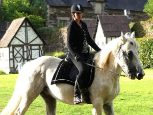 participez à l’effervescence équestre dans les côtes-d’armor : événements, compétitions et activités pour passionnés de chevaux au cœur de la bretagne. découvrez toute l’actualité équestre près de chez vous !