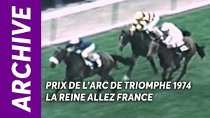 découvrez comment la france a brillé en horse-ball, remportant les honneurs lors des dernières compétitions grâce à une équipe soudée et déterminée. résultats, moments forts et analyse de ce succès exceptionnel.