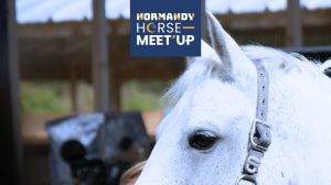 découvrez le spectacle marine : crazy horse à normandie, un événement unique mêlant danse, glamour et ambiance cabaret dans la région normande. réservez vos places dès maintenant !