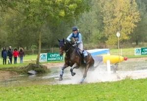 découvrez tout sur le cross du mondial du lion 2025 : la compétition de concours complet dédiée aux chevaux de 6 ans. infos, programme et actualités pour ne rien manquer de cet événement équestre international.