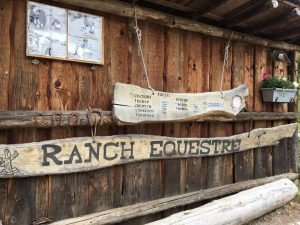 découvrez notre ranch équestre : balades à cheval, cours d'équitation, pension pour chevaux et activités en famille dans un cadre naturel et convivial.