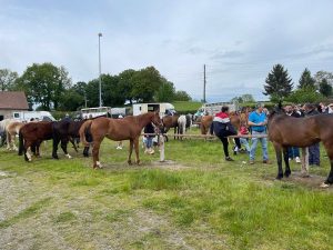 découvrez la réaction des organisateurs de la foire de chénérailles face aux derniers événements, leurs impressions et les perspectives pour les prochaines éditions.