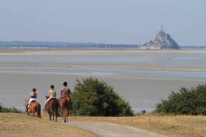 découvrez le retour du normandy horse meet'up, l'événement incontournable pour les passionnés de chevaux en normandie : rencontres, échanges professionnels et animations inédites au programme !