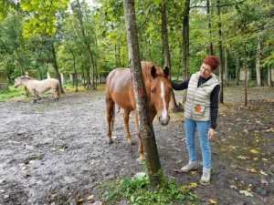 participez à une rencontre authentique à virey-le-grand autour des chevaux et de la bienveillance. vivez un moment unique, riche en partage et en émotions, au cœur de la nature.