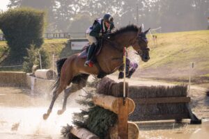 découvrez le rôle historique et moderne du cheval dans les forces armées, son influence sur les stratégies militaires et son importance symbolique.