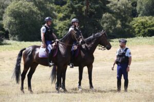 un cheval fugueur sur la rn 141 a été secouru en toute sécurité par les gendarmes, évitant ainsi un accident sur la route.