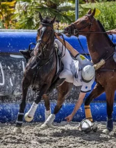 découvrez la première étape du championnat de horse-ball avec les meilleures équipes en compétition, des matchs passionnants et un spectacle équestre exceptionnel.