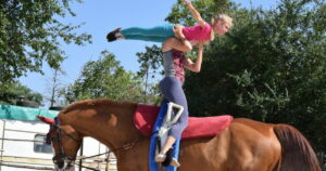 découvrez notre écurie de voltige engagée dans le sauvetage des chevaux abandonnés, où passion et bien-être animal se rencontrent pour offrir une seconde chance à ces chevaux.