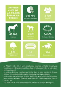 découvrez les enjeux et les avantages d'une gouvernance élargie pour la filière cheval, favorisant une collaboration renforcée entre les acteurs du secteur pour un développement durable et innovant.
