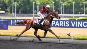 découvrez le témoignage d'un entraîneur de hippisme sur l'élévation du niveau des compétitions cet hiver et les défis rencontrés.