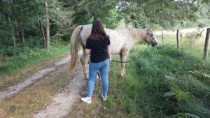 découvrez comment la médiation animale à istres utilise le contact avec les chevaux pour aider les enfants à surmonter leurs peurs et gagner en confiance.
