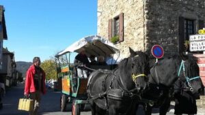 à najac, le marché de noël s'anime avec la magie du cheval et de la calèche, offrant une expérience festive et authentique pour petits et grands.