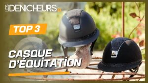 découvrez comment choisir la meilleure bombe d'équitation horze pour garantir votre sécurité et confort lors de vos sorties à cheval.