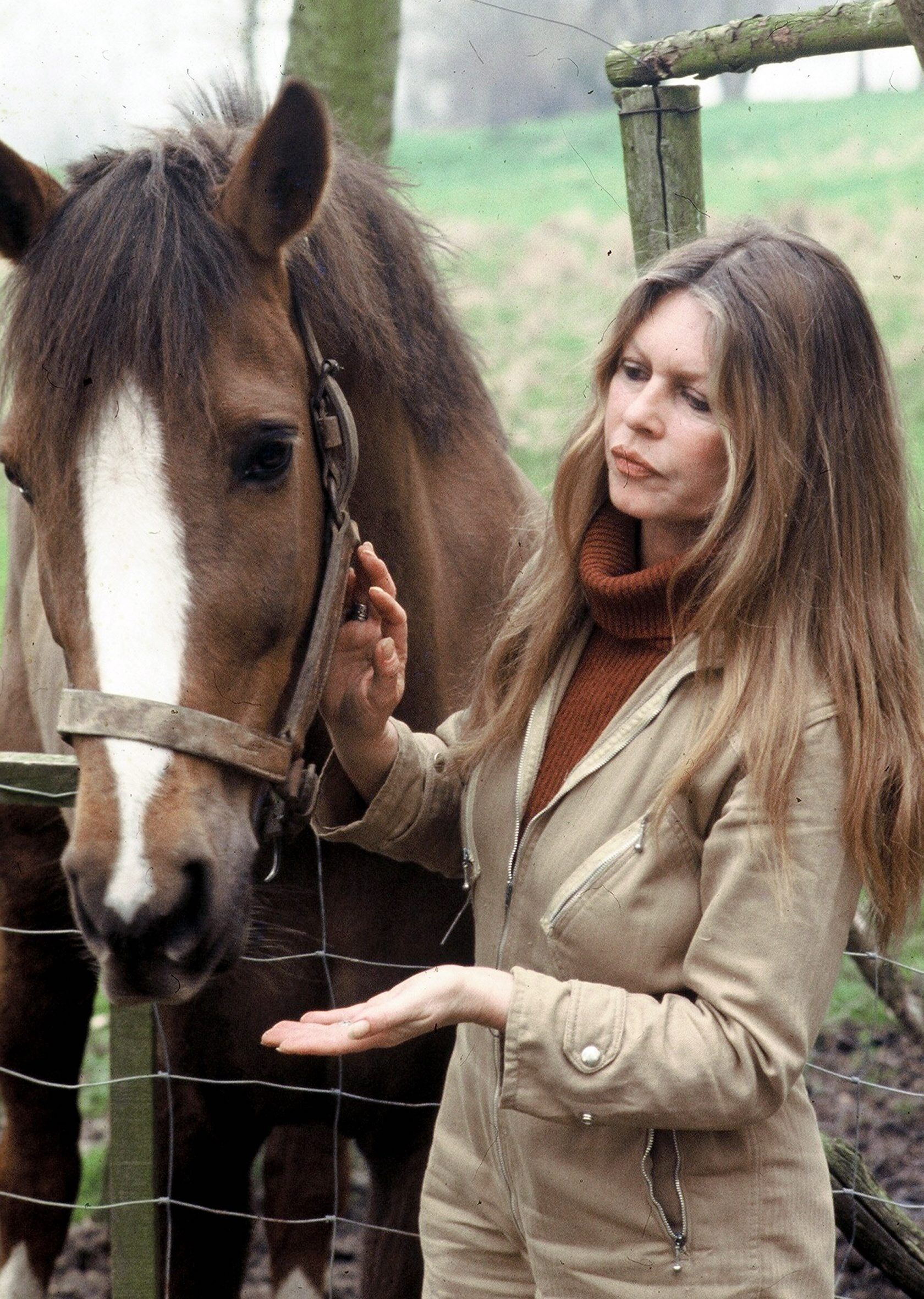 découvrez l'histoire fascinante de brigitte bardot et péchard, le cheval de trait emblématique, alliant élégance et puissance dans un duo unique.