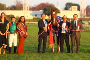 découvrez calandagan, le prodige équestre français alliant élégance et performance, symbole d'excellence dans le monde du cheval.