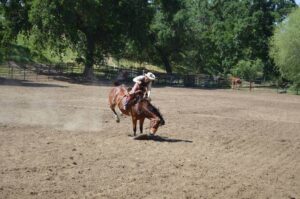 découvrez nos conseils pratiques et astuces pour prévenir les chutes en équitation et assurer votre sécurité lors de vos moments à cheval.