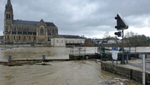 dans la sarthe, one voice dépose une plainte suite aux violences commises contre des pur-sang, dénonçant ces actes et appelant à la justice pour protéger les chevaux.