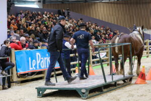 découvrez le cheval breton aubère présenté au salon de l'agriculture, une race emblématique reconnue pour sa robustesse et sa polyvalence.