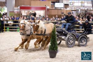 découvrez pourquoi les chevaux sont absents du salon de l'agriculture cette année et les implications pour les visiteurs et les exposants.