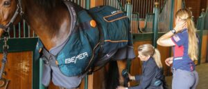 découvrez comment les chevaux peuvent apaiser les douleurs invisibles grâce à une connexion unique et bienveillante, favorisant le bien-être physique et émotionnel.