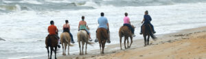 découvrez le départ des célèbres chevaux de la mer de saint-malo, un spectacle maritime unique alliant art et nature en bretagne.