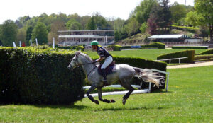découvrez comment thierry touzaint célèbre un résultat exceptionnel en équitation, marquant une étape importante dans sa carrière équestre.