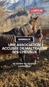 association dédiée à la prévention et la dénonciation de la souffrance des chevaux, œuvrant pour leur protection et leur bien-être.